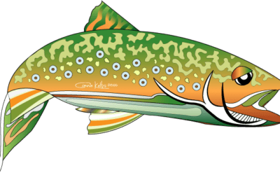 Brown Trout Vector