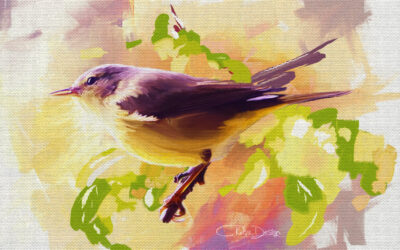 Just a Tiny Songbird
