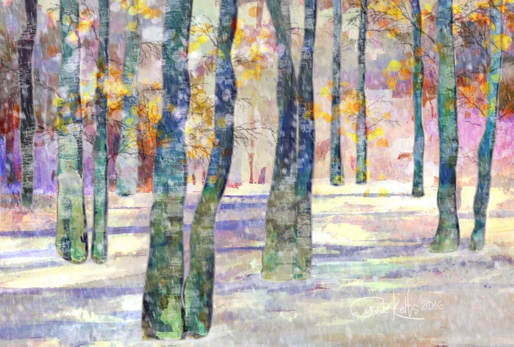 Embrace the Magic of Winter